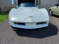 1980 Chevrolet Corvette for sale in Michigan (ID-101521)