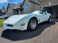 1980 Chevrolet Corvette for sale in Michigan (ID-101521)
