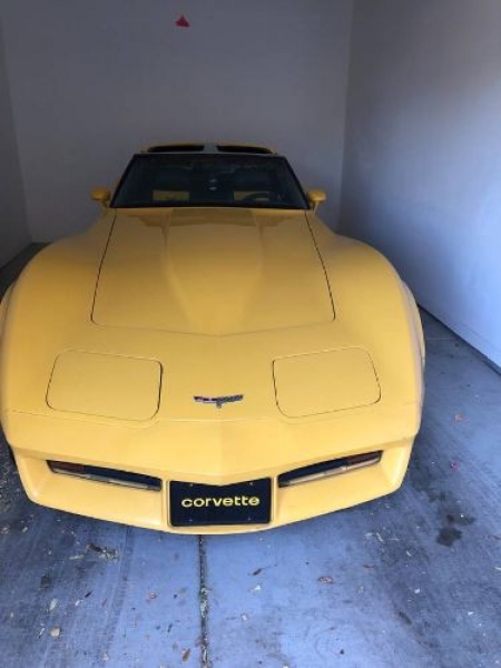 1980 Chevrolet Corvette for sale in Michigan (ID-102314)