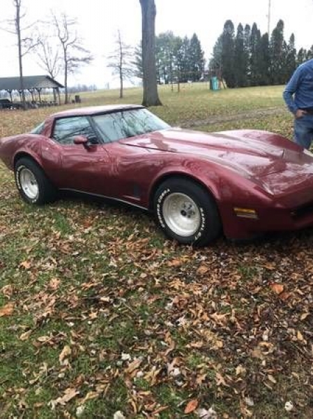 1980 Chevrolet Corvette for sale in Michigan (ID-112095)