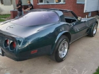 1980 Chevrolet Corvette for sale in Michigan (ID-115957)
