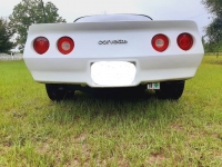 1980 Chevrolet Corvette for sale in Michigan (ID-117986)