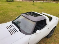 1980 Chevrolet Corvette for sale in Michigan (ID-117986)