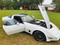 1980 Chevrolet Corvette for sale in Michigan (ID-117986)