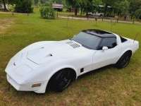1980 Chevrolet Corvette for sale in Michigan (ID-117986)