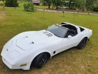1980 Chevrolet Corvette for sale in Michigan (ID-117986)