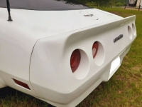 1980 Chevrolet Corvette for sale in Michigan (ID-117986)