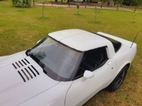 1980 Chevrolet Corvette for sale in Michigan (ID-117986)