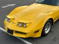 1980 Chevrolet Corvette for sale in Michigan (ID-118813)