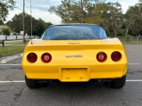 1980 Chevrolet Corvette for sale in Michigan (ID-118813)