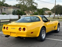 1980 Chevrolet Corvette for sale in Michigan (ID-118813)