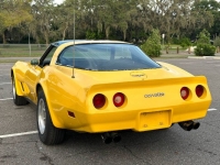 1980 Chevrolet Corvette for sale in Michigan (ID-118813)