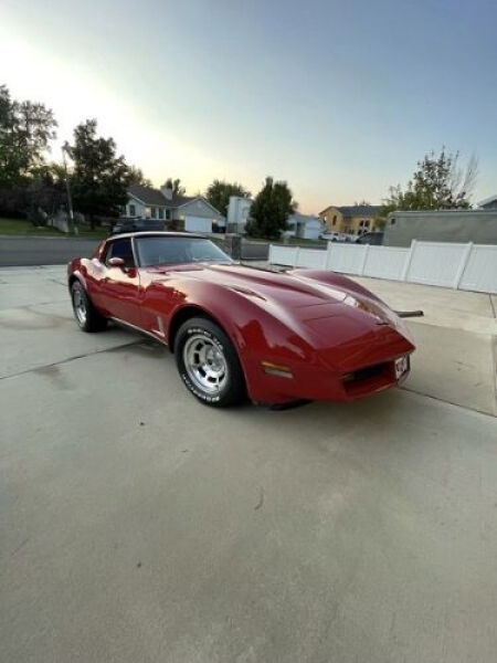 1980 Chevrolet Corvette for sale in Michigan (ID-120030)