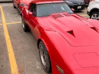 1980 Chevrolet Corvette for sale in Michigan (ID-123322)