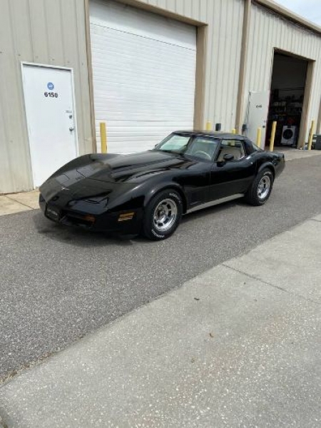 1980 Chevrolet Corvette for sale in Michigan (ID-124373)
