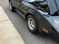 1980 Chevrolet Corvette for sale in Michigan (ID-124373)