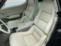 1980 Chevrolet Corvette for sale in Michigan (ID-124373)
