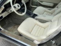 1980 Chevrolet Corvette for sale in Michigan (ID-124373)