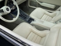 1980 Chevrolet Corvette for sale in Michigan (ID-124373)