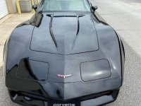 1980 Chevrolet Corvette for sale in Michigan (ID-124373)