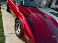 1980 Chevrolet Corvette for sale in Michigan (ID-124463)