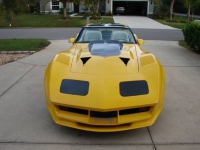 1980 Chevrolet Corvette for sale in Michigan (ID-124773)