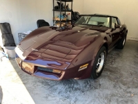 1980 Chevrolet Corvette for sale in Michigan (ID-124796)
