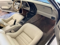 1980 Chevrolet Corvette for sale in Michigan (ID-124796)