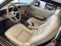 1980 Chevrolet Corvette for sale in Michigan (ID-124796)