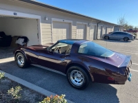 1980 Chevrolet Corvette for sale in Michigan (ID-124796)