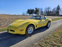 1980 Chevrolet Corvette for sale in Michigan (ID-126502)