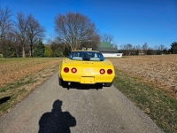 1980 Chevrolet Corvette for sale in Michigan (ID-126502)