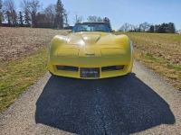 1980 Chevrolet Corvette for sale in Michigan (ID-126502)