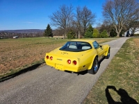 1980 Chevrolet Corvette for sale in Michigan (ID-126502)