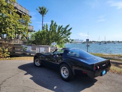 1980 Chevrolet Corvette for sale