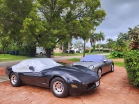 1980 Chevrolet Corvette for sale in Michigan (ID-130411)