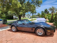 1980 Chevrolet Corvette for sale in Michigan (ID-130411)