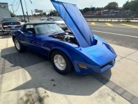 1980 Chevrolet Corvette for sale in Michigan (ID-133938)