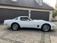 1980 Chevrolet Corvette for sale in Michigan (ID-134344)
