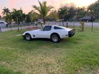 1980 Chevrolet Corvette for sale in Michigan (ID-138760)