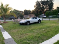 1980 Chevrolet Corvette for sale in Michigan (ID-138760)