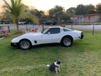 1980 Chevrolet Corvette for sale in Michigan (ID-138760)