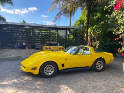 1980 Chevrolet Corvette for sale