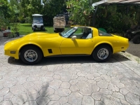 1980 Chevrolet Corvette for sale in Michigan (ID-138796)