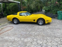 1980 Chevrolet Corvette for sale in Michigan (ID-138796)