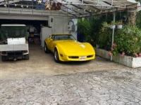 1980 Chevrolet Corvette for sale in Michigan (ID-138796)