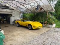 1980 Chevrolet Corvette for sale in Michigan (ID-138796)