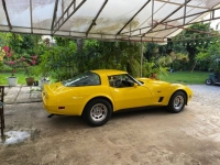 1980 Chevrolet Corvette for sale in Michigan (ID-138796)