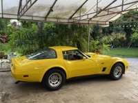 1980 Chevrolet Corvette for sale in Michigan (ID-138796)