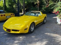1980 Chevrolet Corvette for sale in Michigan (ID-138796)